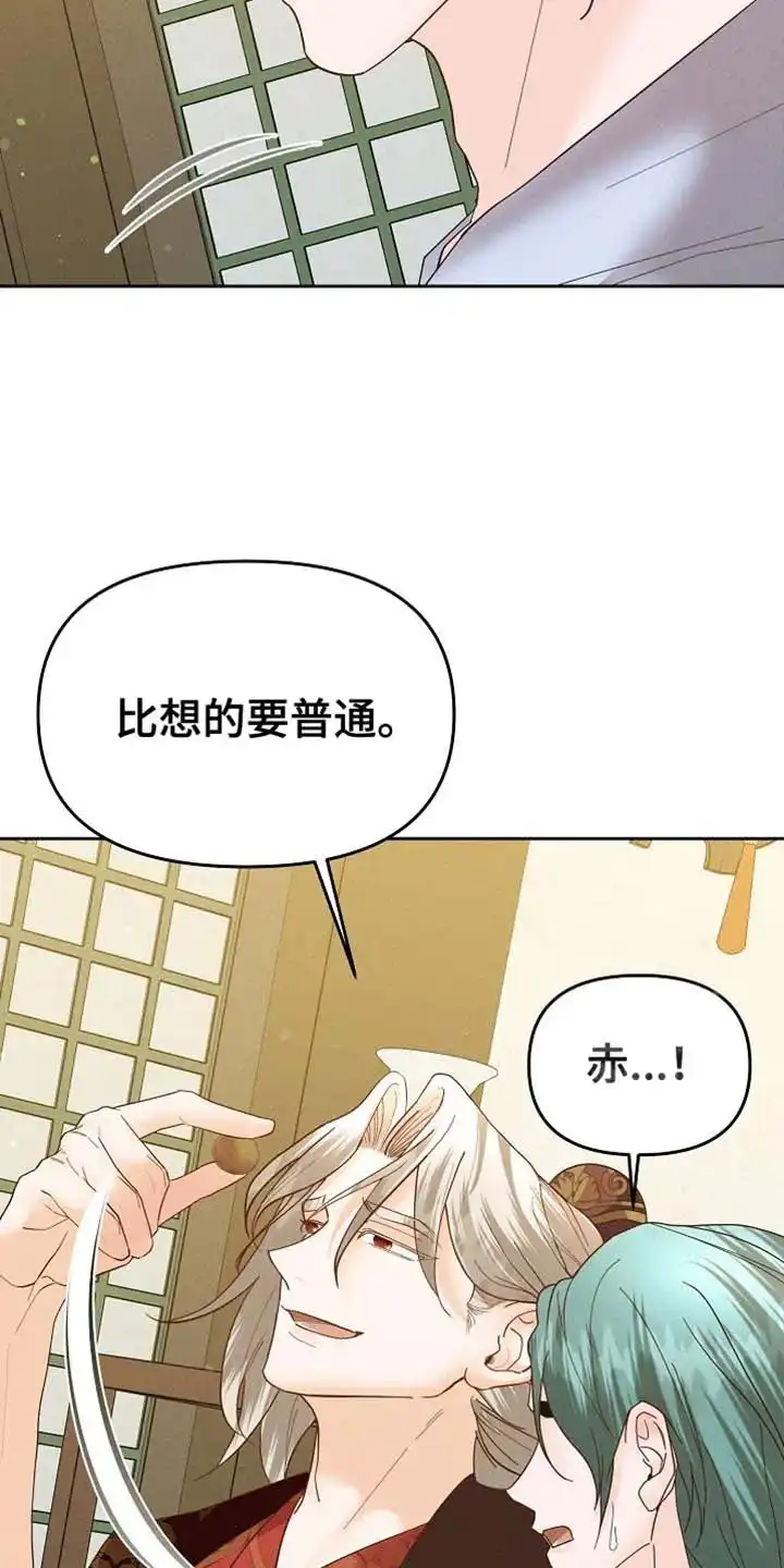 《腹黑兔子》第61话 第12页