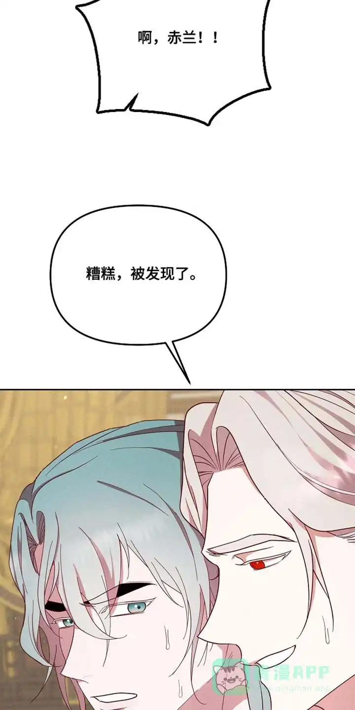 《腹黑兔子》第72话 第16页