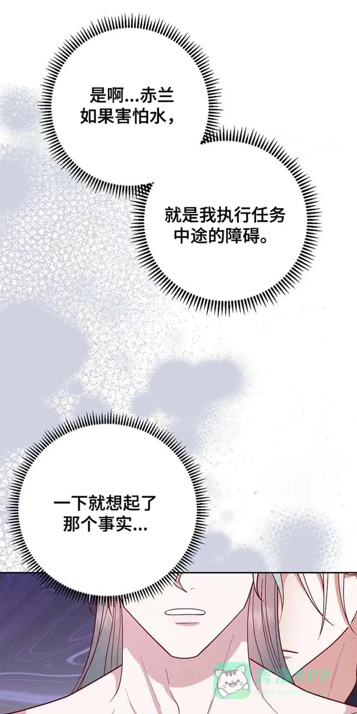 《腹黑兔子》第73话 第1页