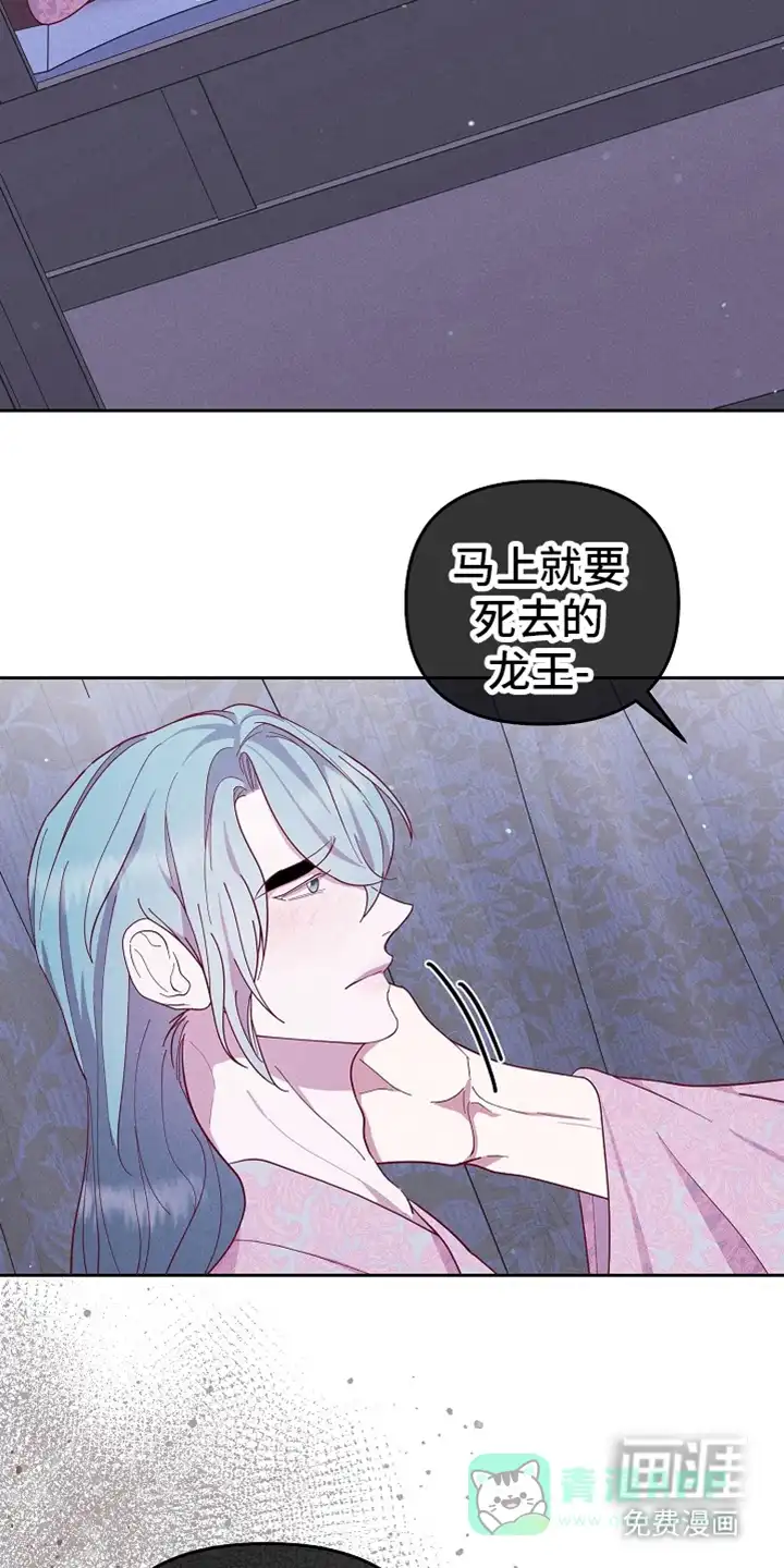 《腹黑兔子》第75话 第16页