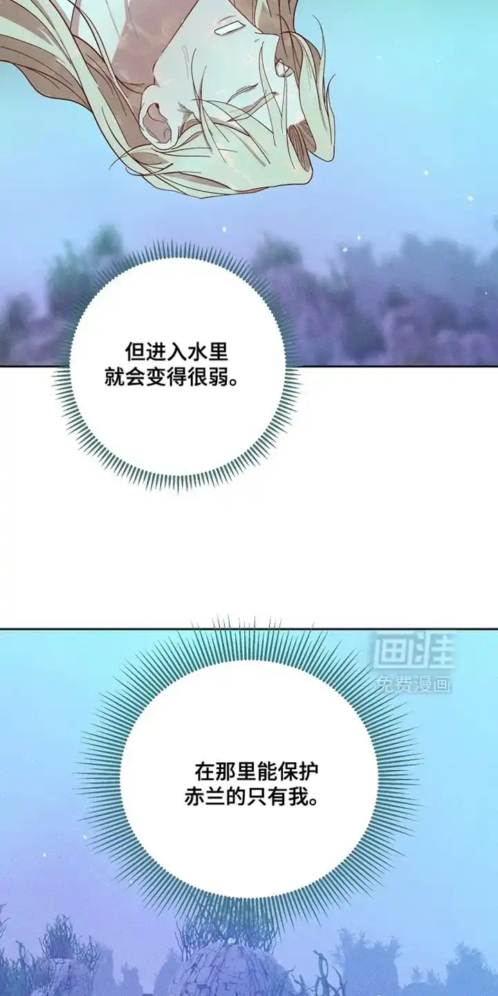 《腹黑兔子》第77话 第29页