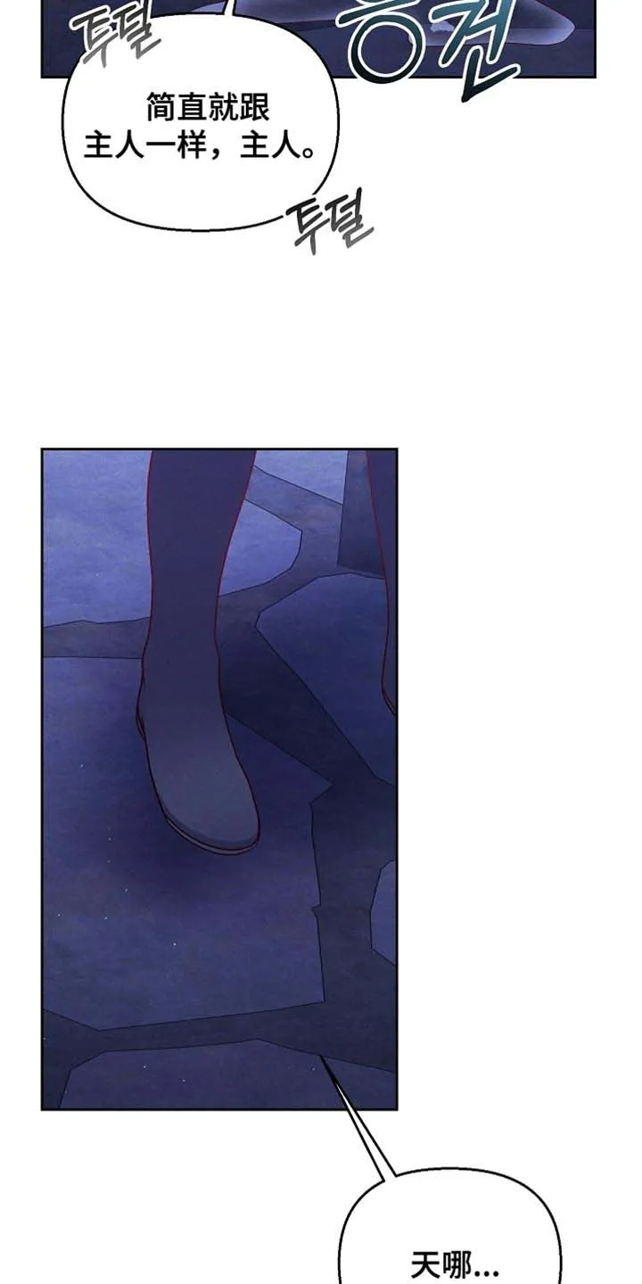 《腹黑兔子》第79话 第9页