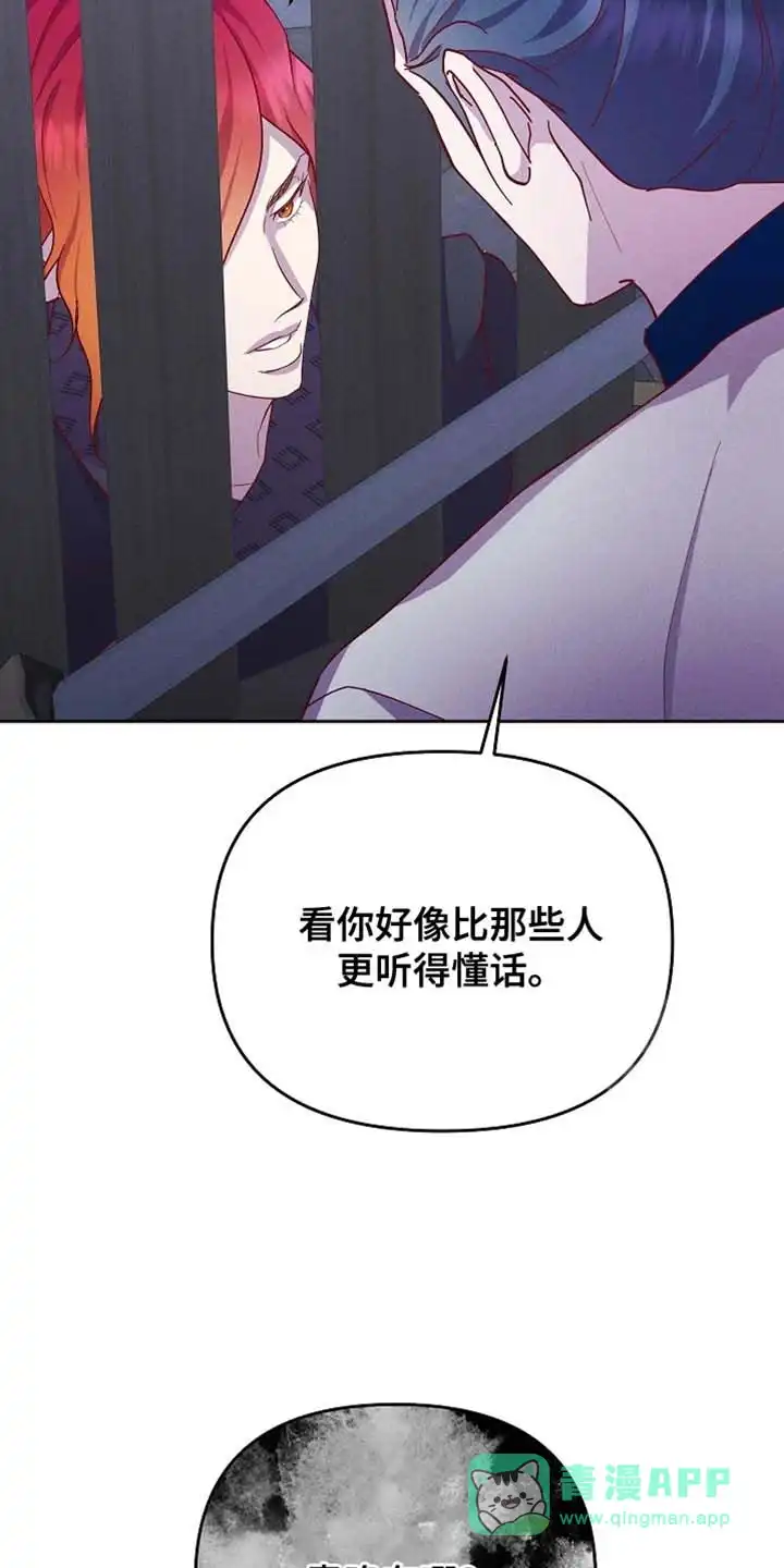 《腹黑兔子》第79话 第31页