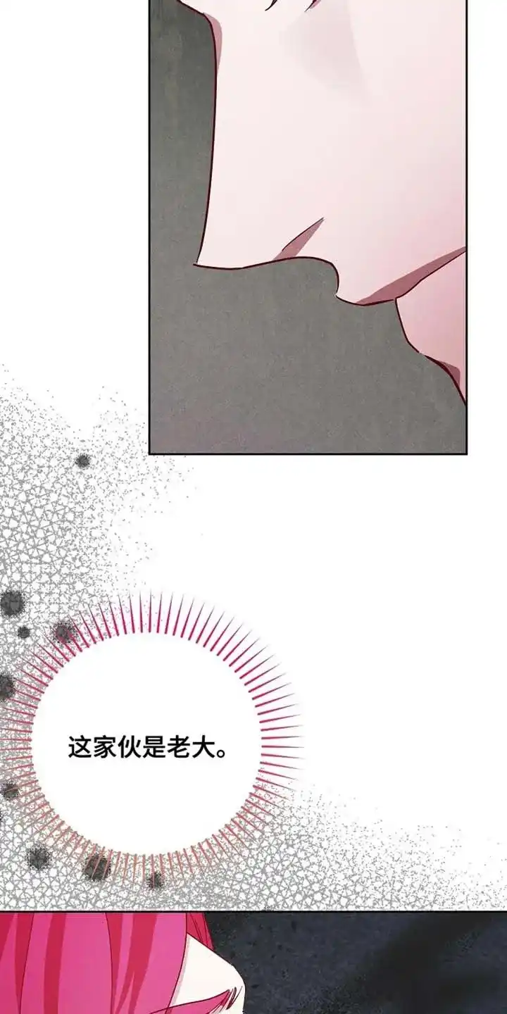 《腹黑兔子》第79话 第29页
