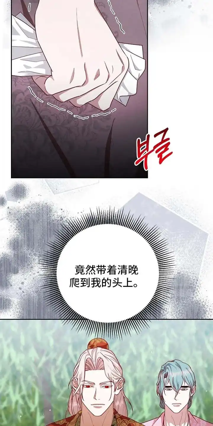 《腹黑兔子》第91话 第20页