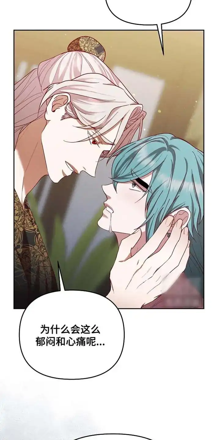 《腹黑兔子》第95话 第13页