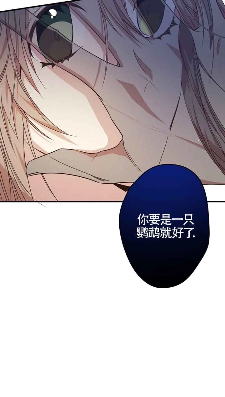 《附身成为女主的妹妹》第29话 第61页