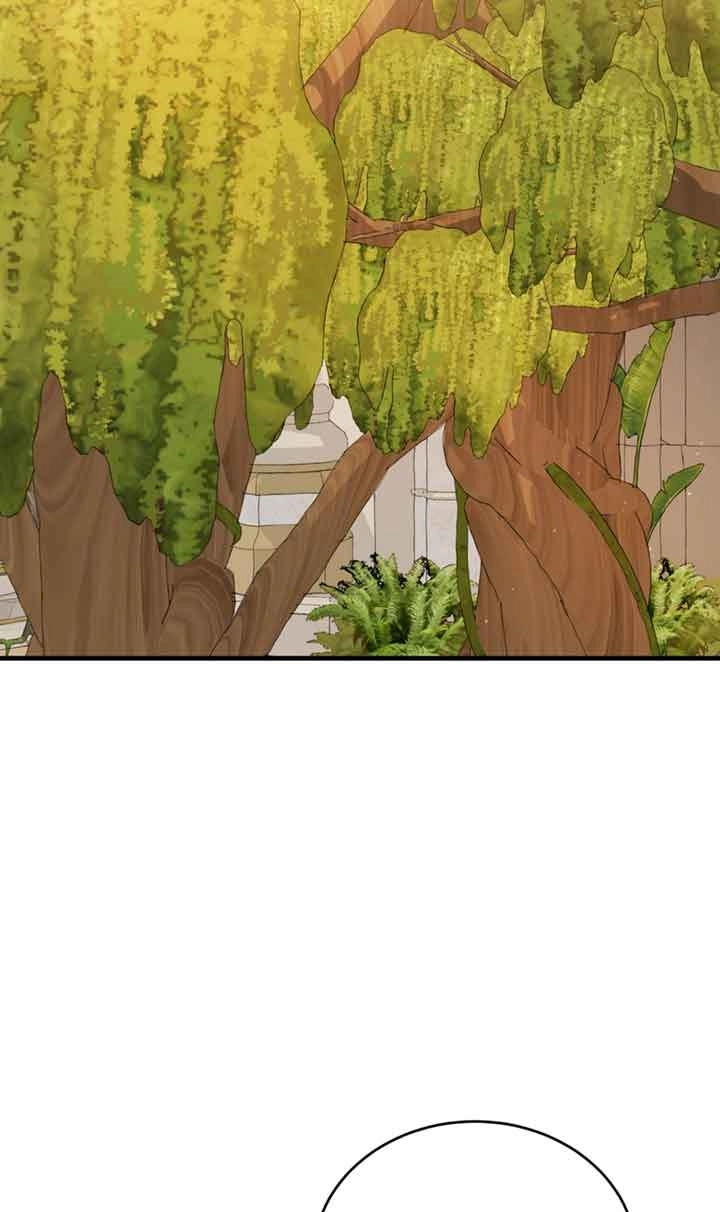 《附身成为女主的妹妹》第35话 第2页