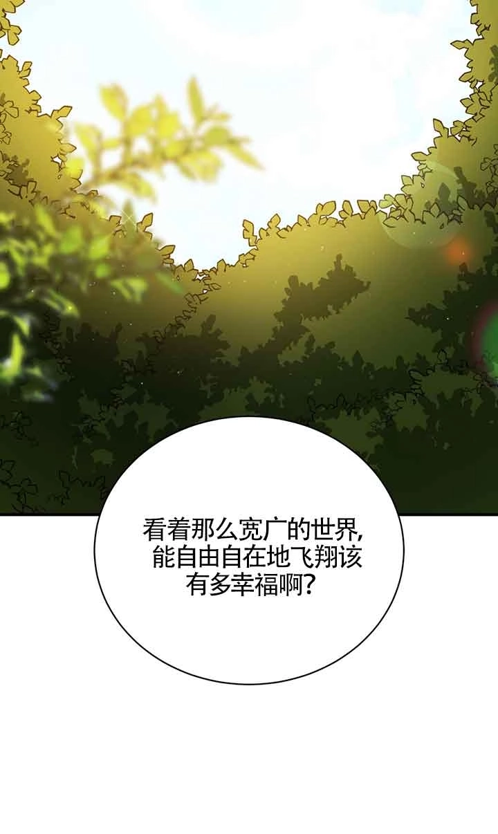 《附身成为女主的妹妹》第50话 第78页