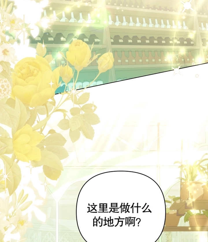 《干脆我成为王好了》第19话 第5页