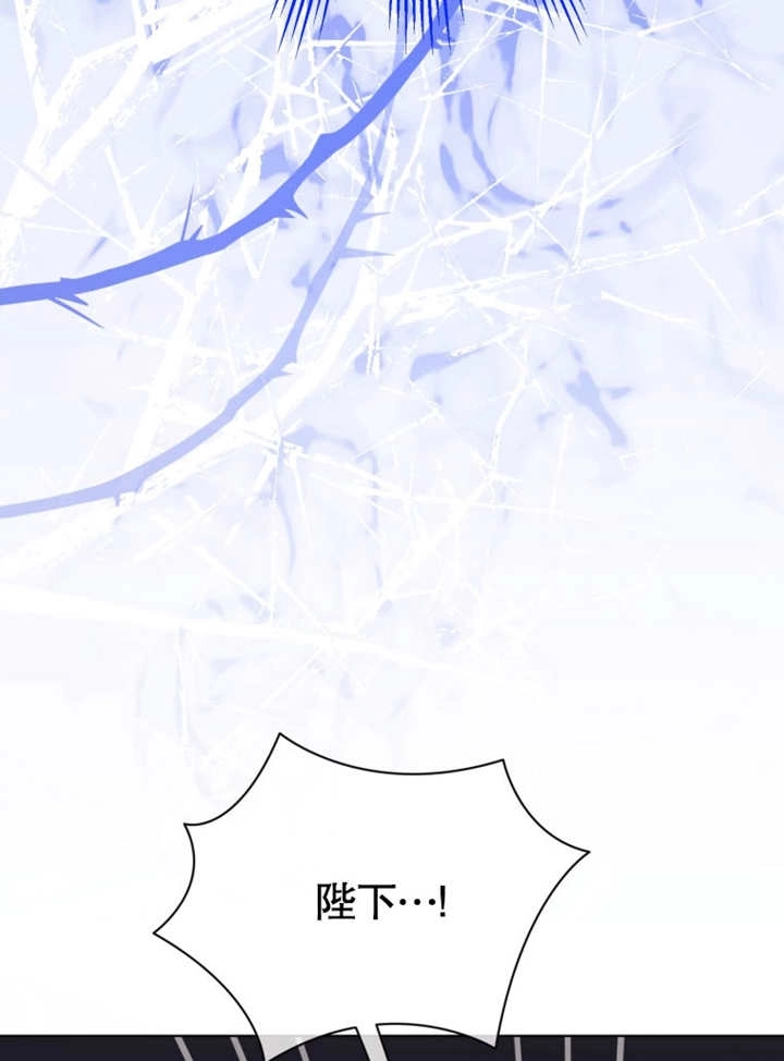 《干脆我成为王好了》第43话 第119页