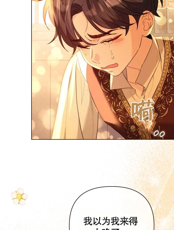 《干脆我成为王好了》第43话 第62页