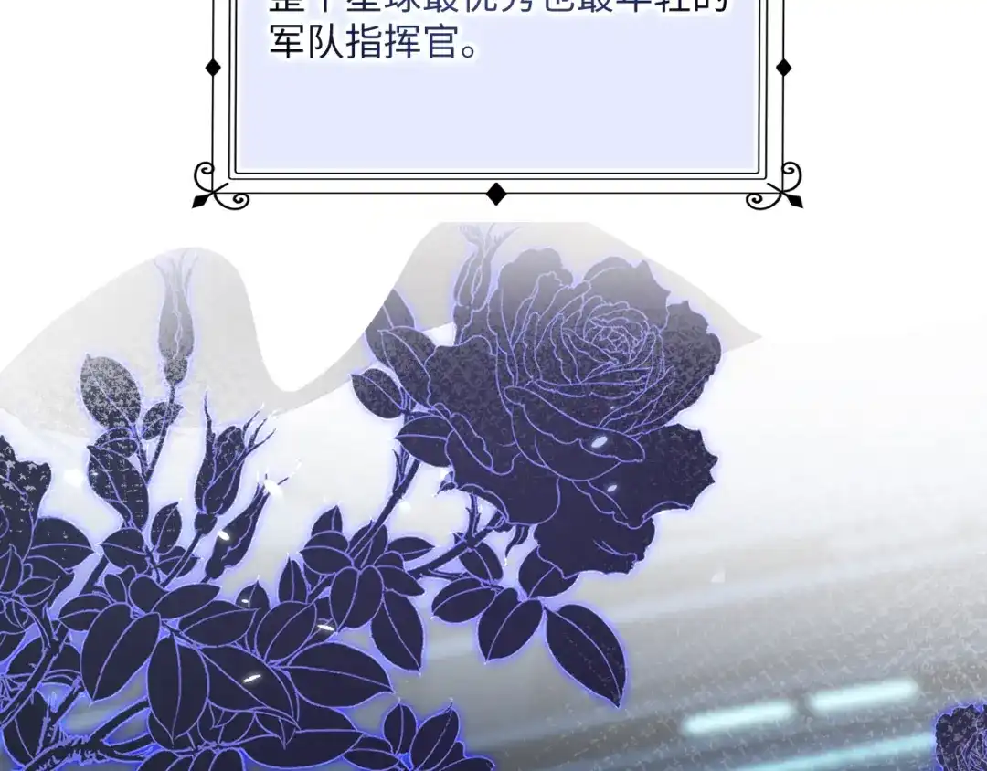 刚退婚，就被奶凶狐狸拐进民政局 预告 第12页
