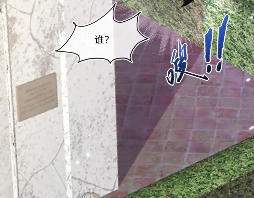 刚退婚，就被奶凶狐狸拐进民政局 储星澜变脸 第103页