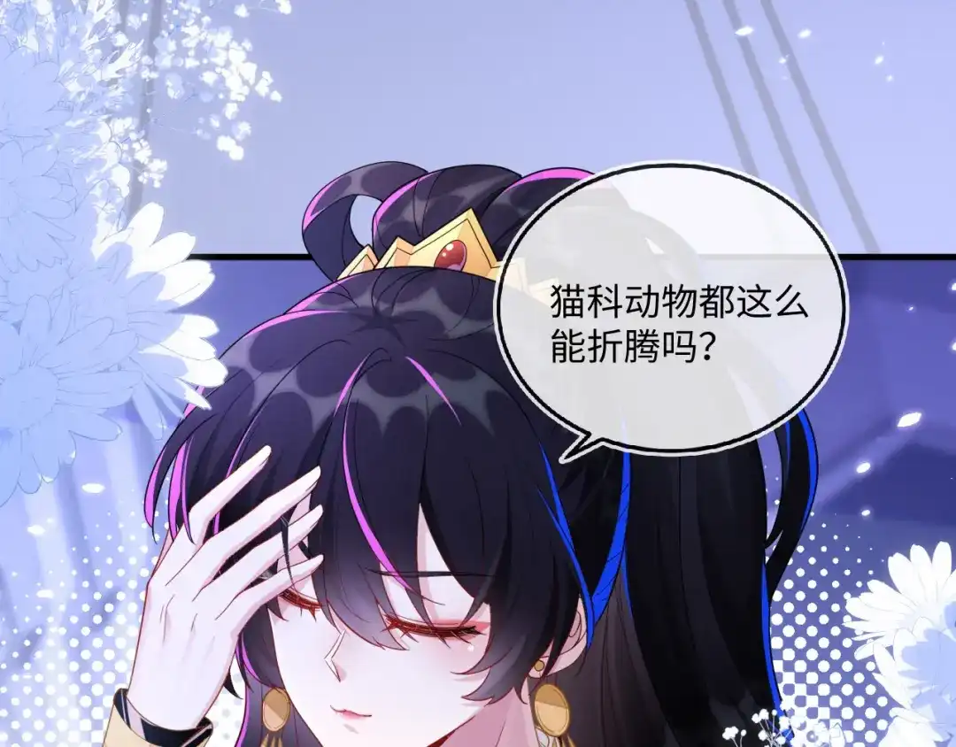 刚退婚，就被奶凶狐狸拐进民政局 苏晓溪掉马 第7页
