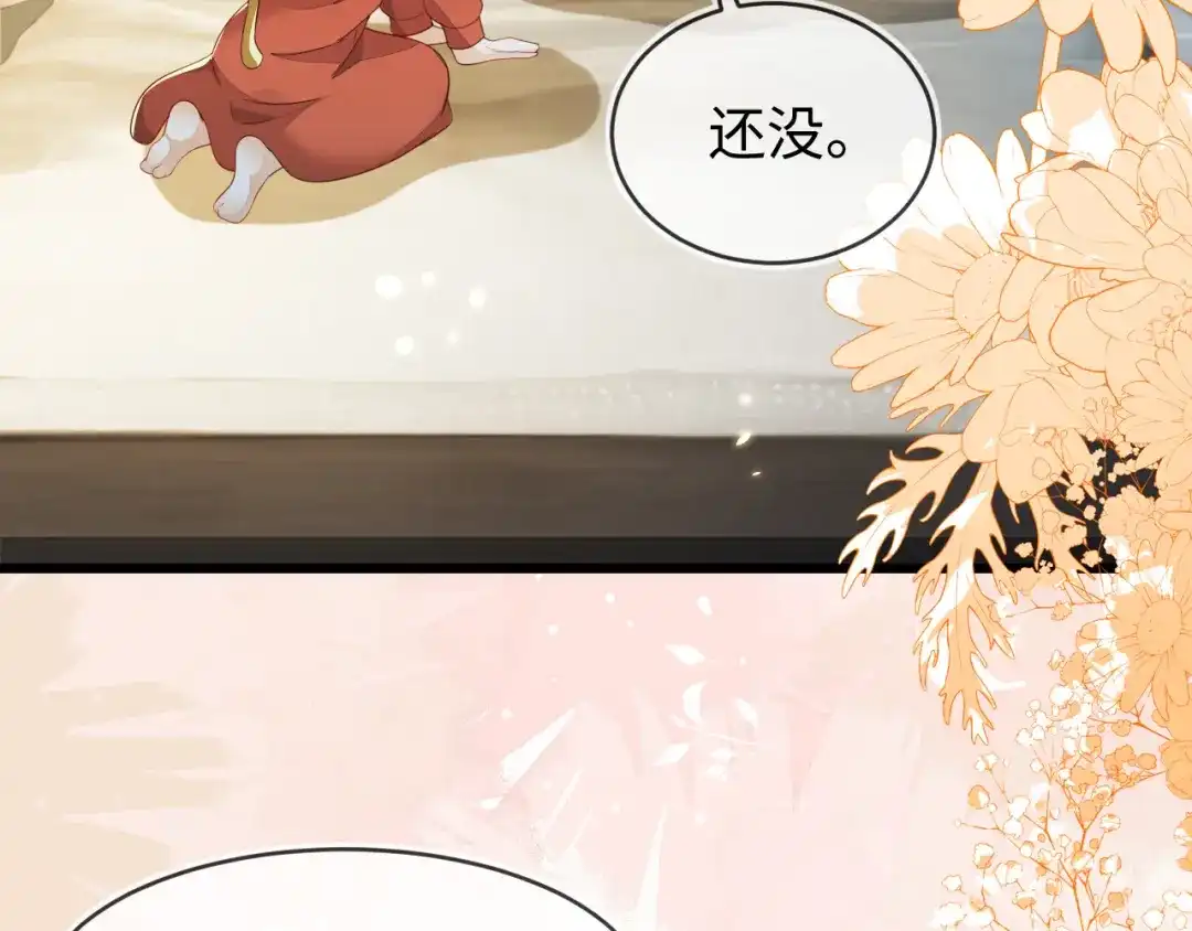 刚退婚，就被奶凶狐狸拐进民政局 苏落组队 第13页