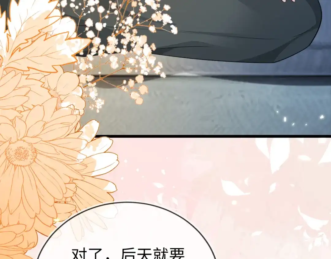 刚退婚，就被奶凶狐狸拐进民政局 苏落组队 第11页