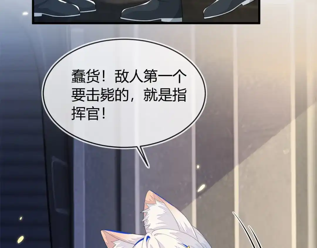 刚退婚，就被奶凶狐狸拐进民政局 我们离婚吧 第51页