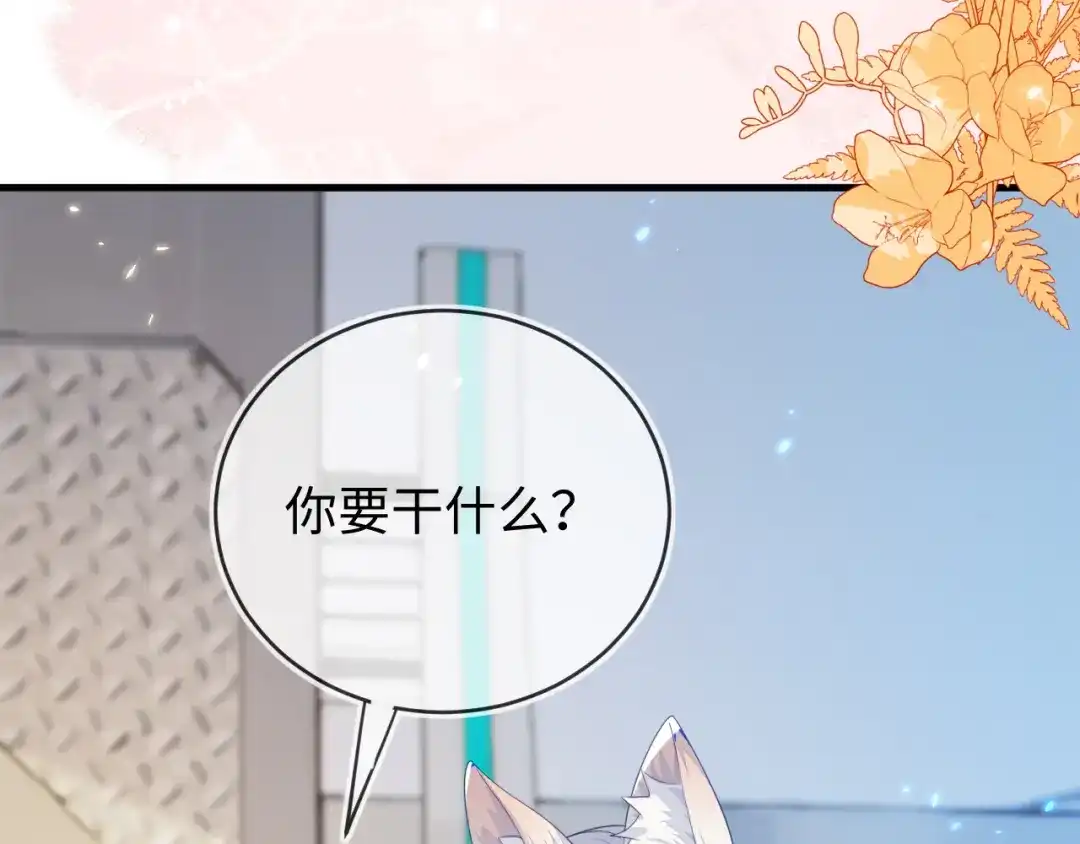 刚退婚，就被奶凶狐狸拐进民政局 我们离婚吧 第17页