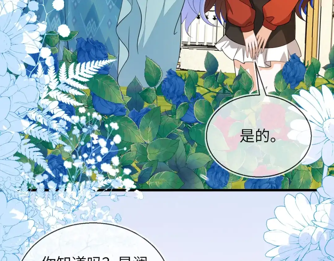 刚退婚，就被奶凶狐狸拐进民政局 皇后要见你 第34页