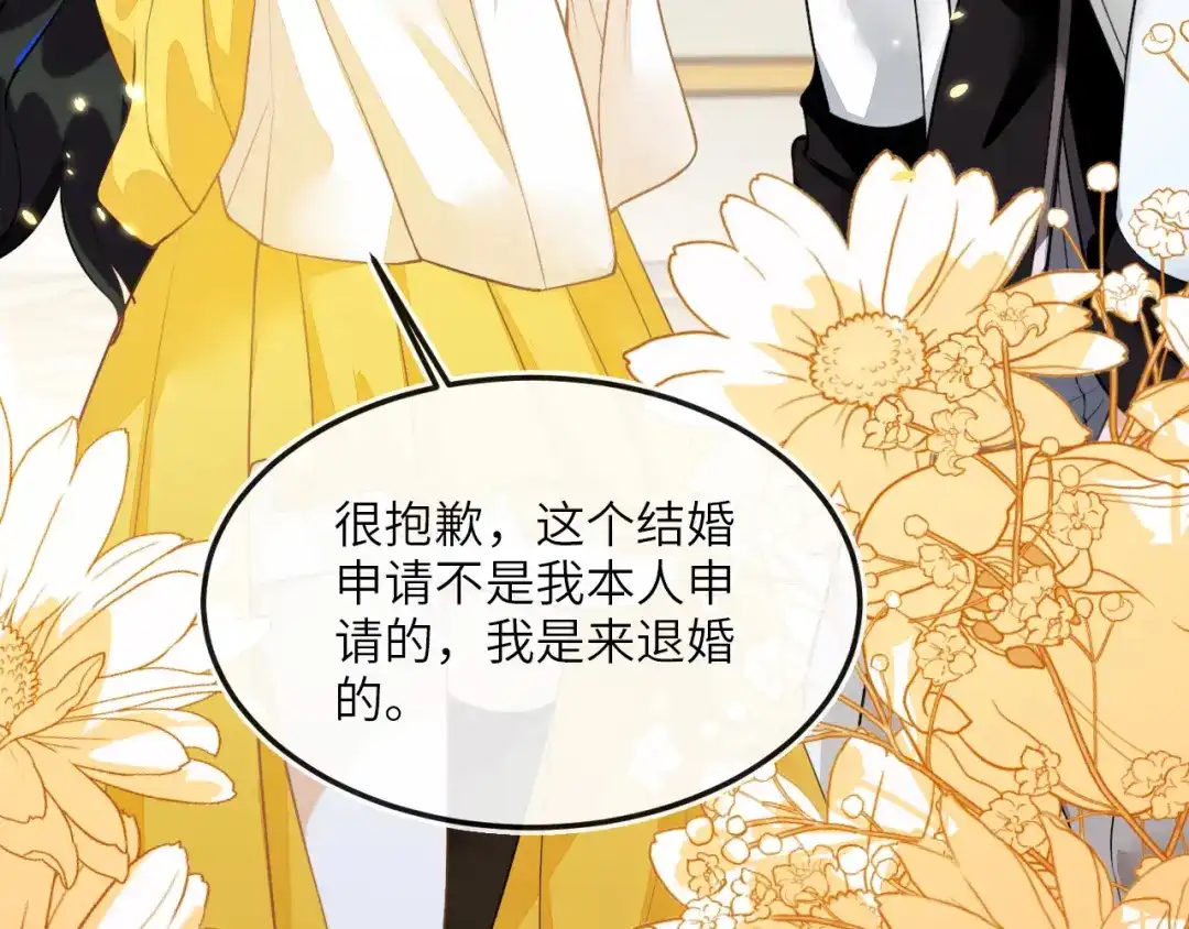 刚退婚，就被奶凶狐狸拐进民政局 这只狐狸好狡猾 第16页