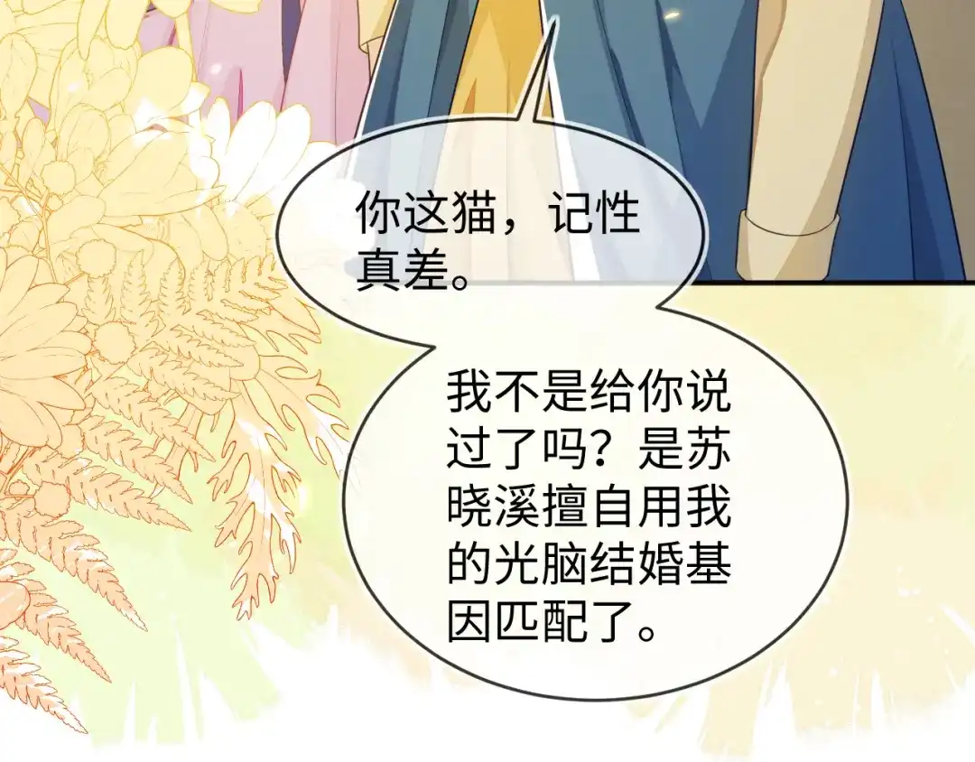 刚退婚，就被奶凶狐狸拐进民政局 他的目的是什么？ 第24页