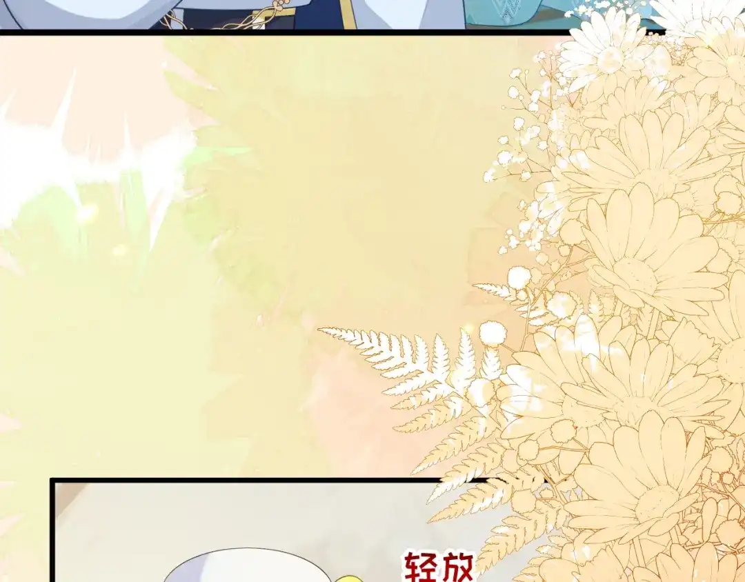 刚退婚，就被奶凶狐狸拐进民政局 陆芸的身份 第14页
