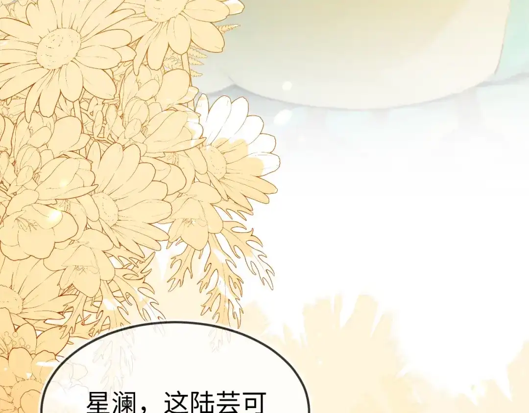 刚退婚，就被奶凶狐狸拐进民政局 陆芸的身份 第60页