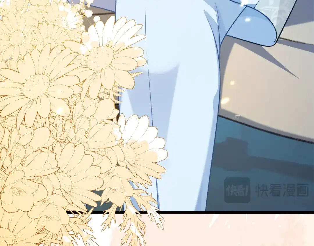刚退婚，就被奶凶狐狸拐进民政局 陆芸的身份 第19页