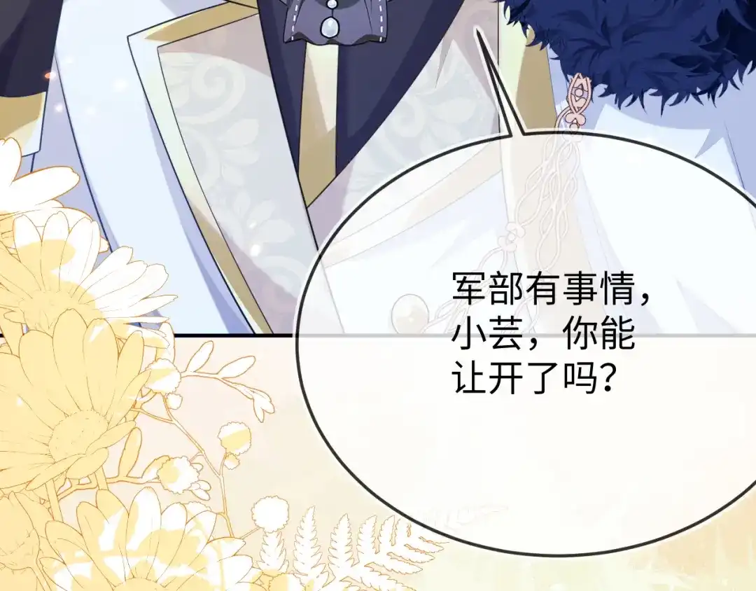 刚退婚，就被奶凶狐狸拐进民政局 陆芸的身份 第114页