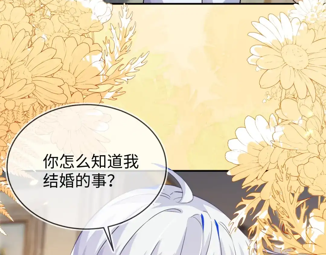 刚退婚，就被奶凶狐狸拐进民政局 我们结婚吧 第30页