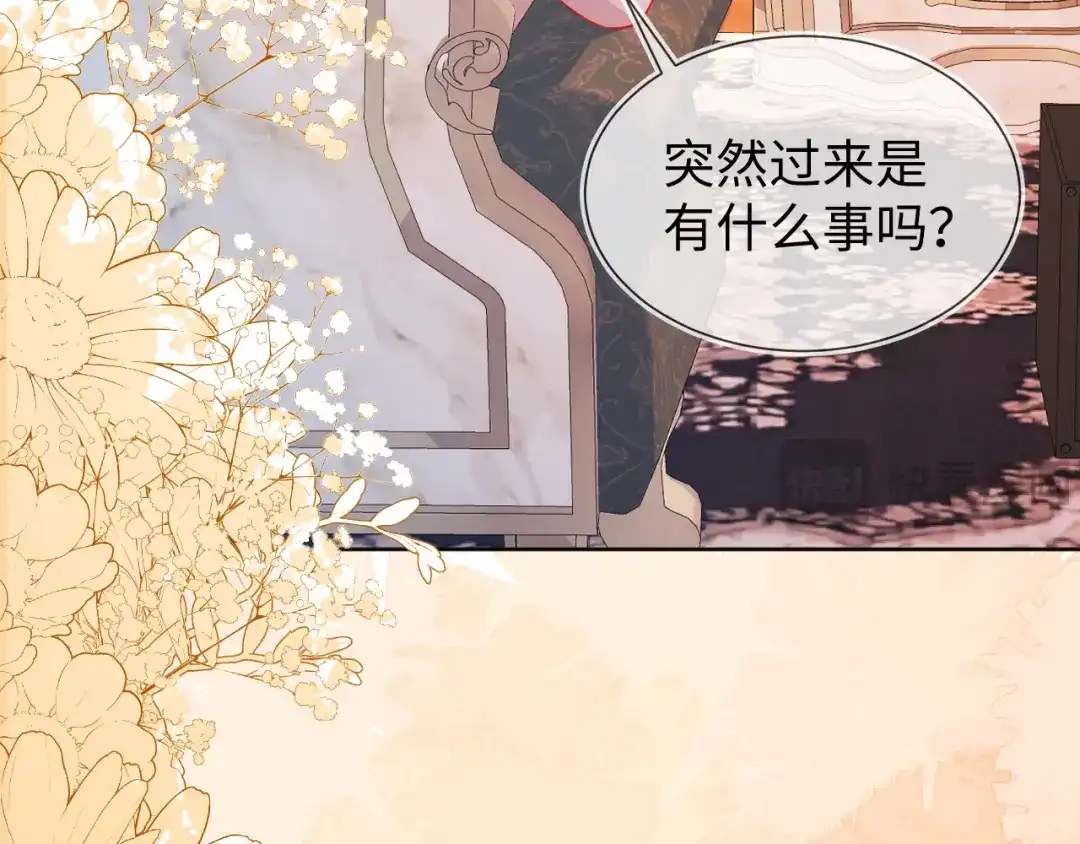 刚退婚，就被奶凶狐狸拐进民政局 安妮的匹配对象 第7页