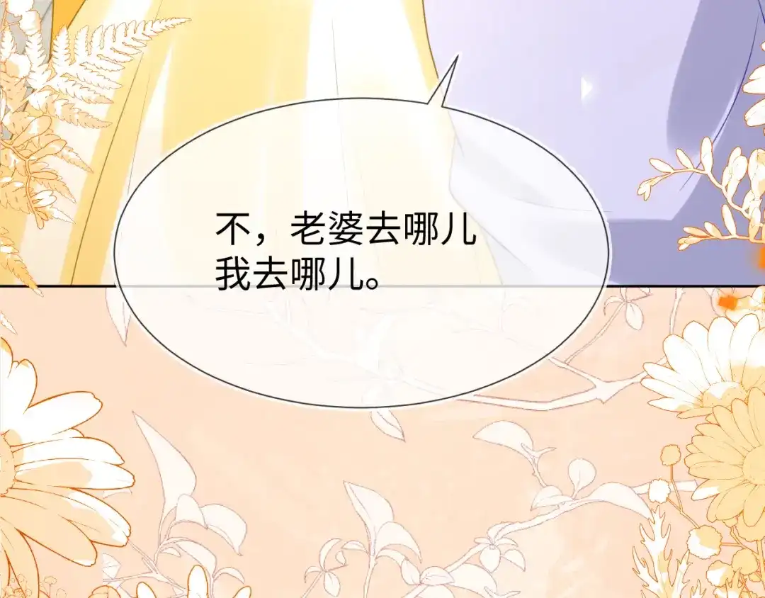 刚退婚，就被奶凶狐狸拐进民政局 安妮的匹配对象 第70页