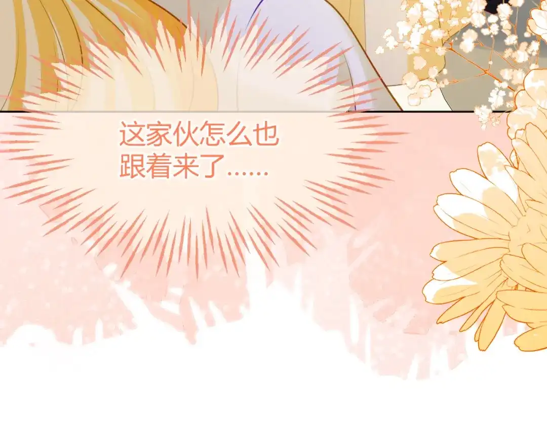 刚退婚，就被奶凶狐狸拐进民政局 安妮的匹配对象 第84页