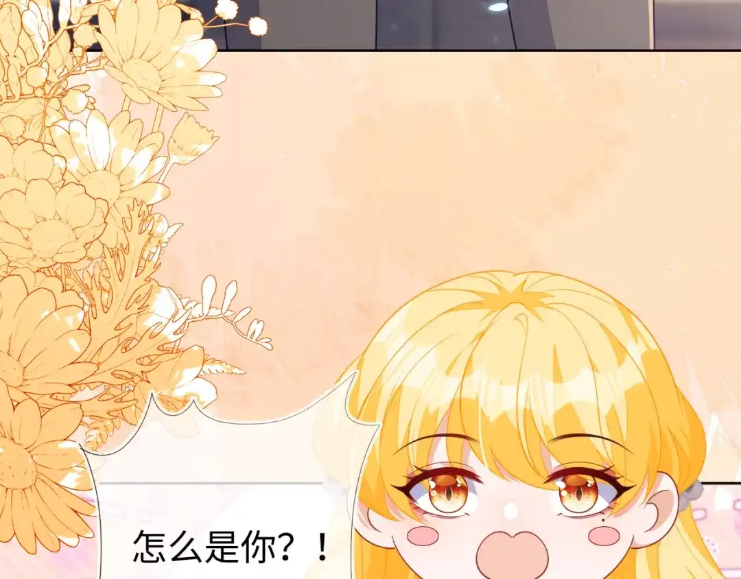 刚退婚，就被奶凶狐狸拐进民政局 安妮的匹配对象 第114页