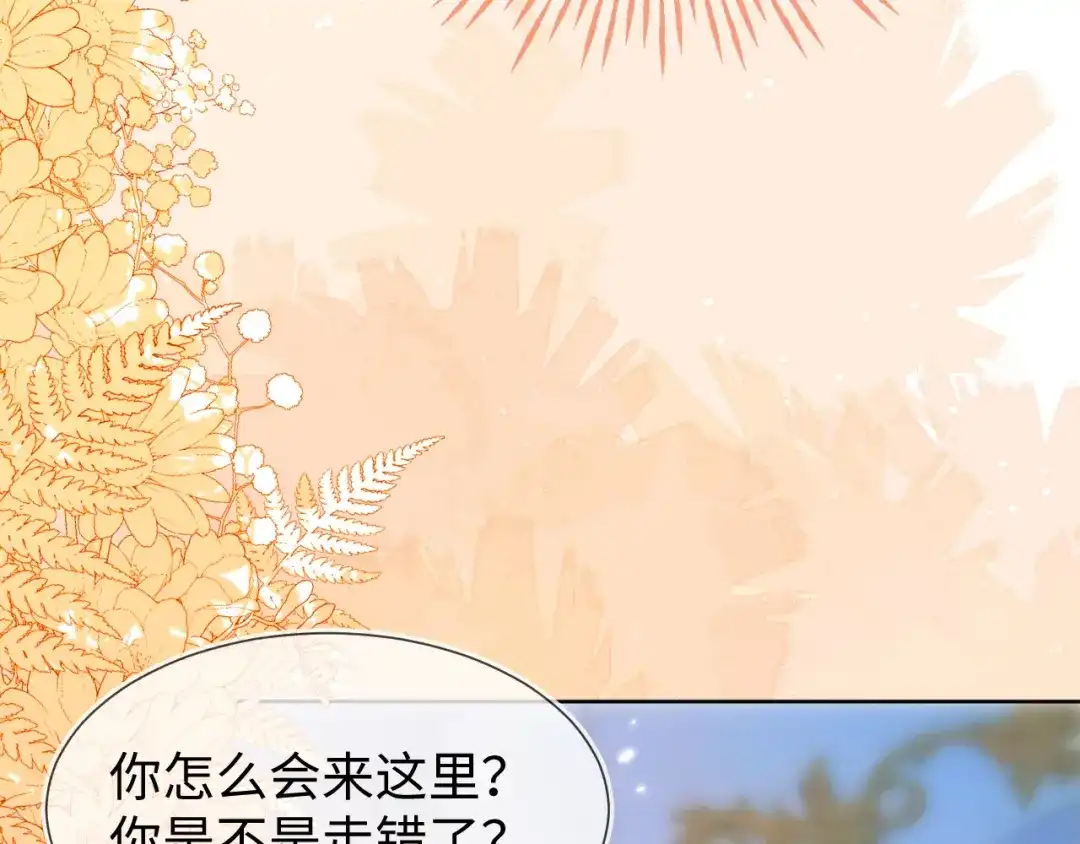 刚退婚，就被奶凶狐狸拐进民政局 安妮的匹配对象 第119页