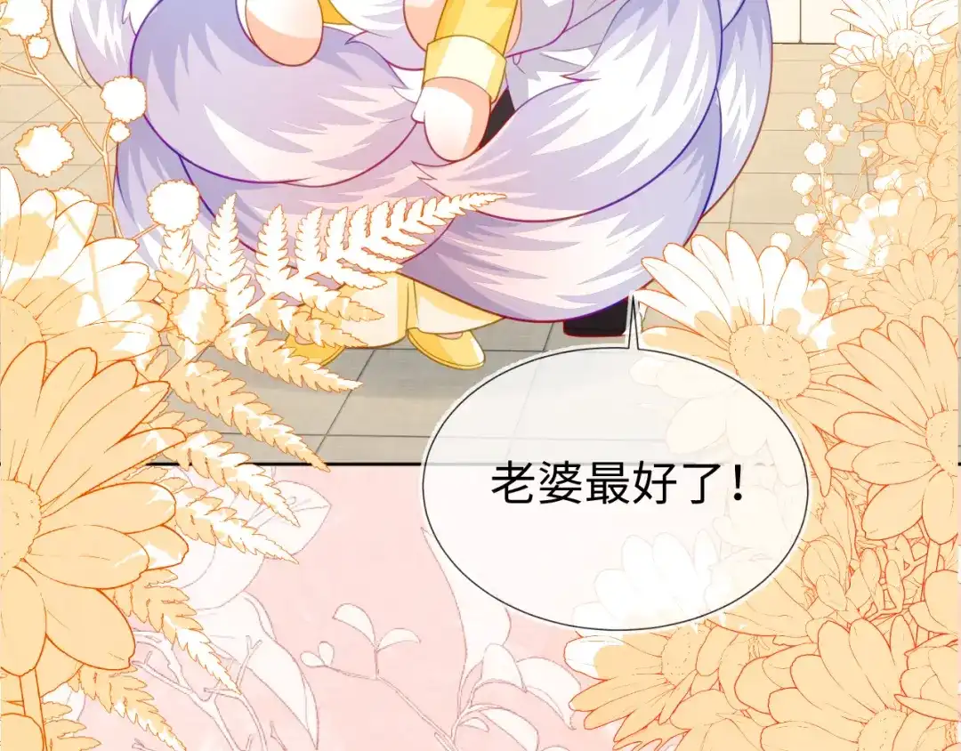刚退婚，就被奶凶狐狸拐进民政局 安妮的匹配对象 第73页