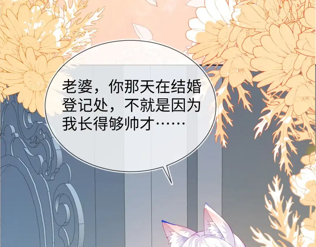 刚退婚，就被奶凶狐狸拐进民政局 安妮的匹配对象 第81页