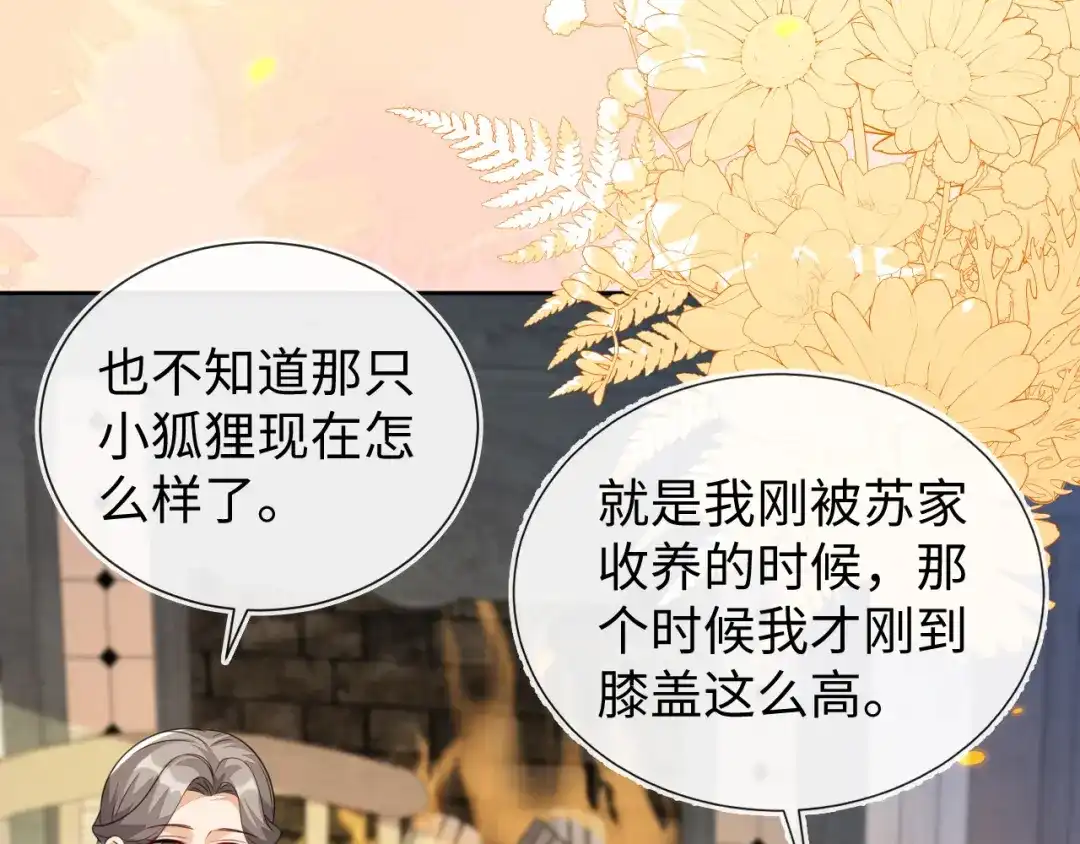 刚退婚，就被奶凶狐狸拐进民政局 带你回家！ 第92页