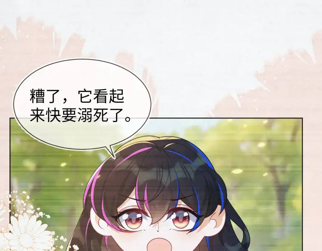 刚退婚，就被奶凶狐狸拐进民政局 原来是你 第5页