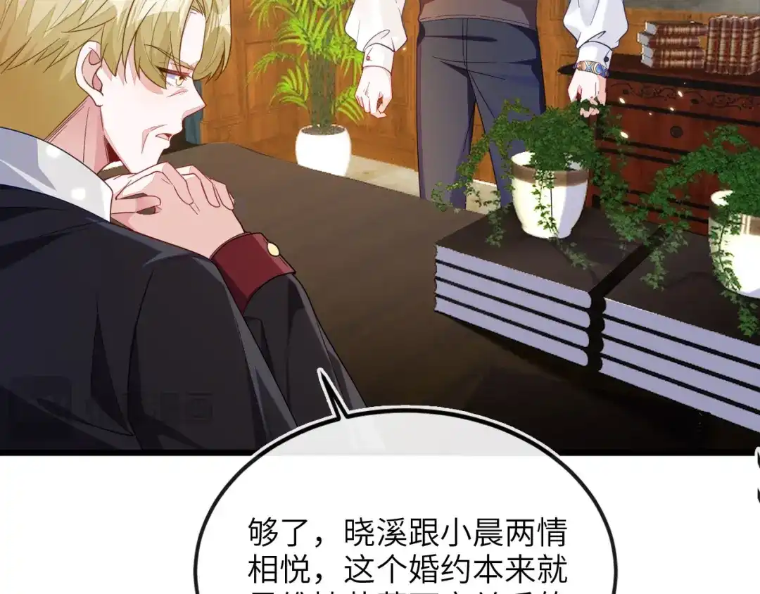 刚退婚，就被奶凶狐狸拐进民政局 见到他的母亲了！ 第77页