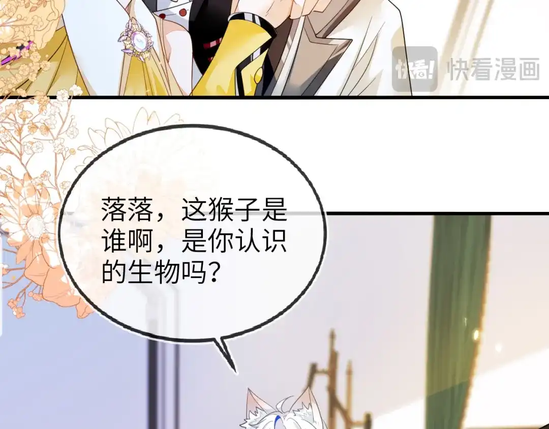 刚退婚，就被奶凶狐狸拐进民政局 为爱单挑 第34页