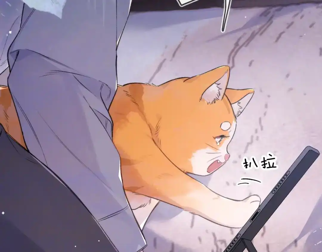 告白 第一百零七话 视频吗？看猫 第68页
