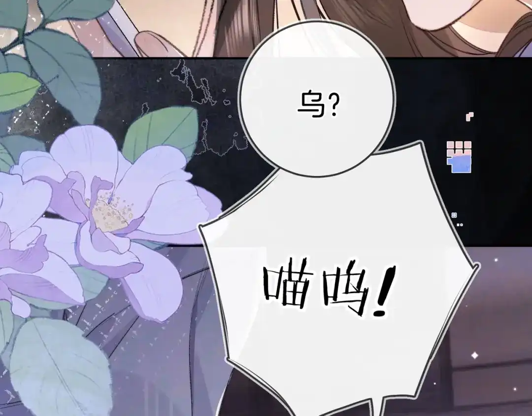 告白 第一百零七话 视频吗？看猫 第67页