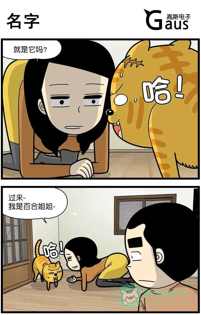 《高斯电子公司(今日宜加油)》[第1244话] 名字 第1页