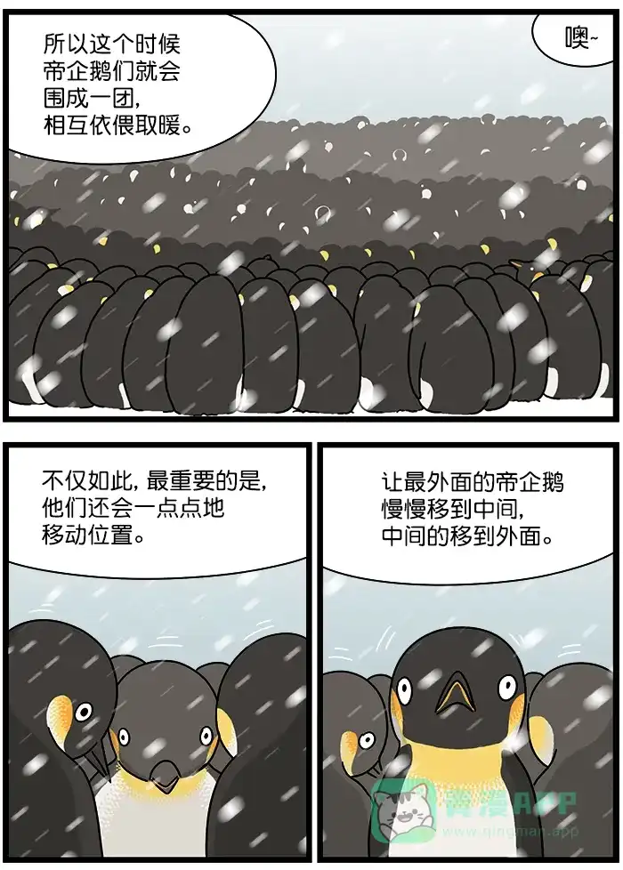 《高斯电子公司(今日宜加油)》[第1261话] 轮换 第2页