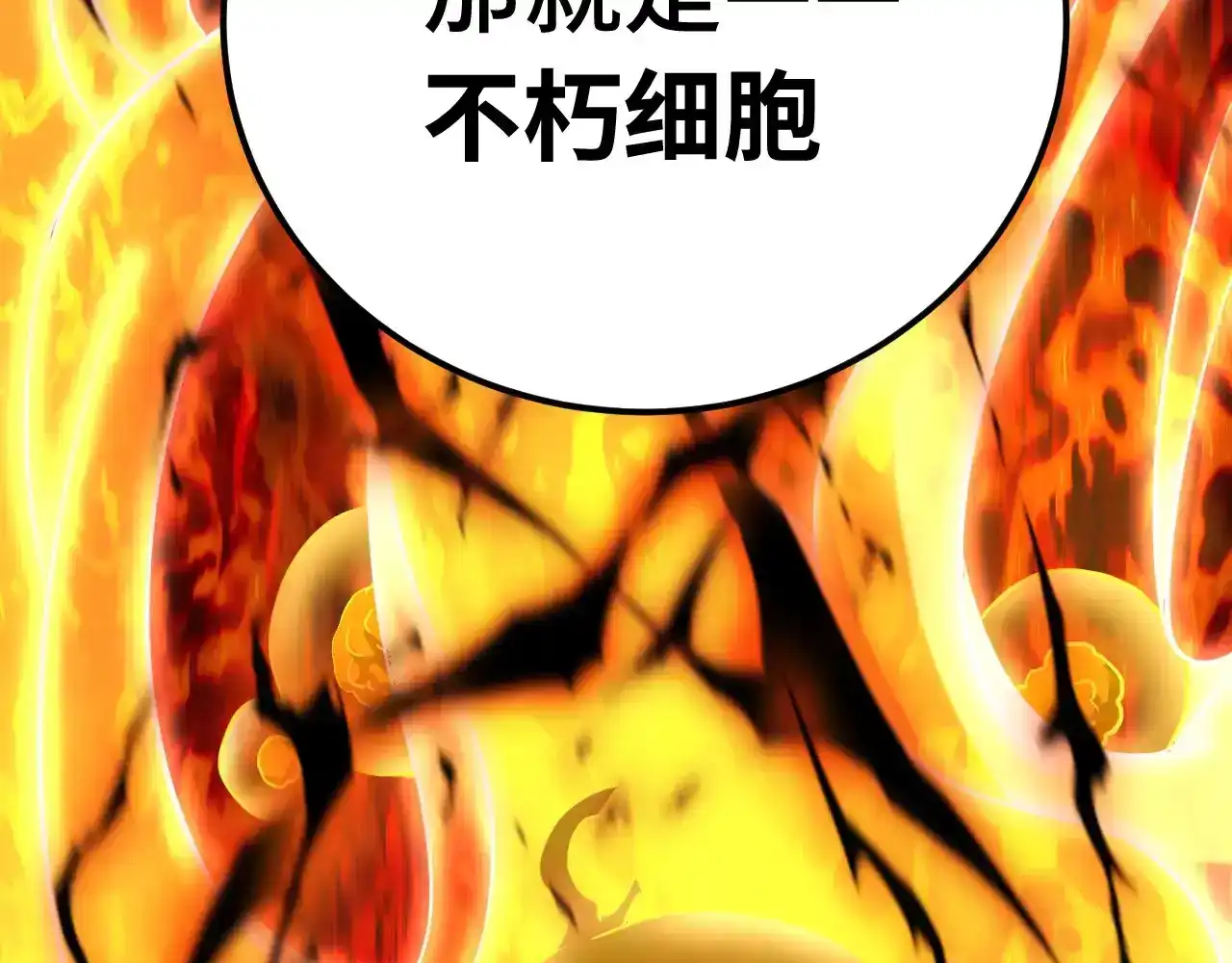 50.jpg