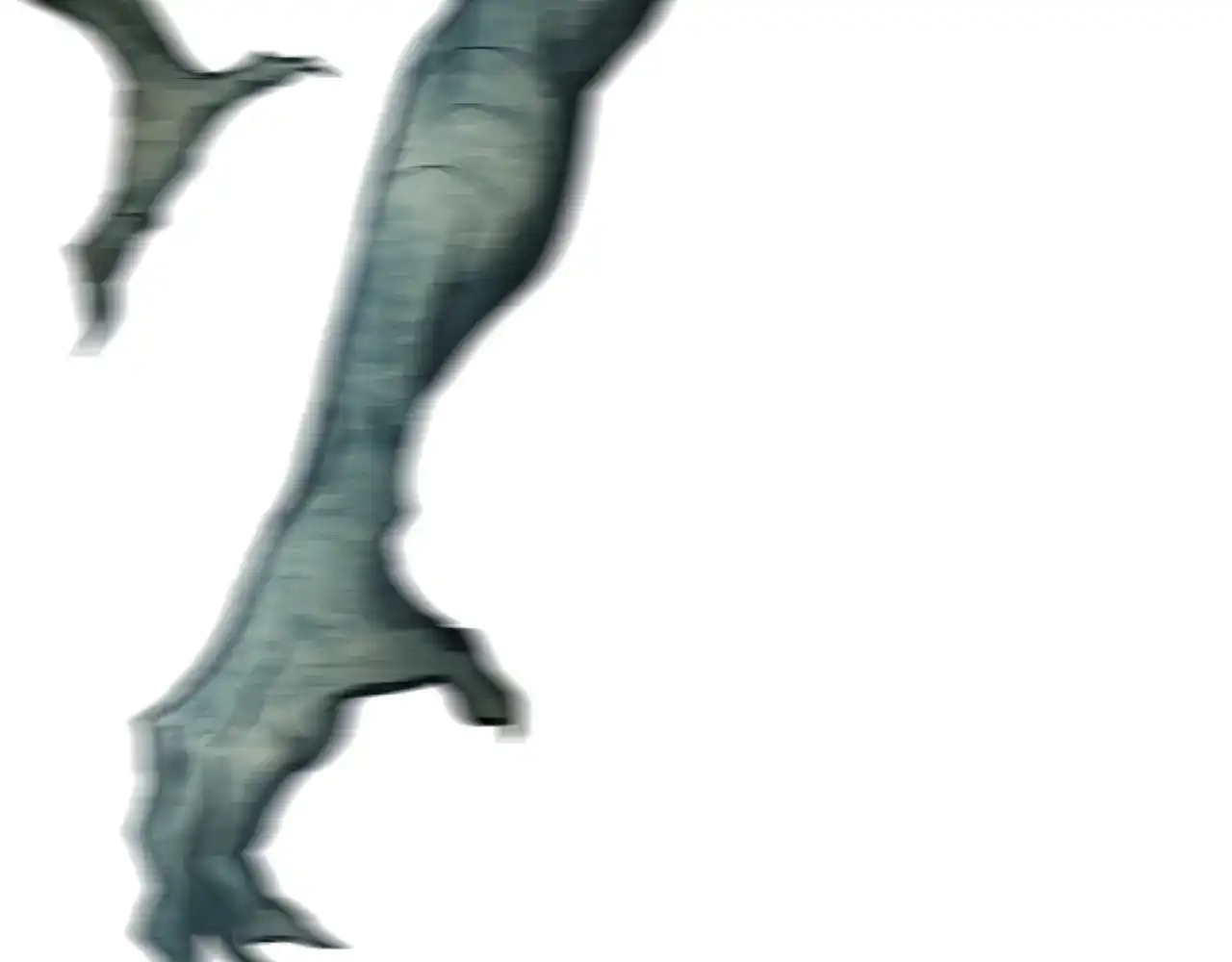 117.jpg