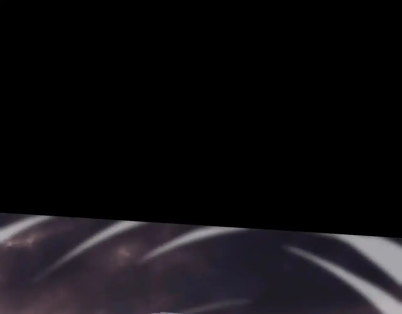 69.jpg
