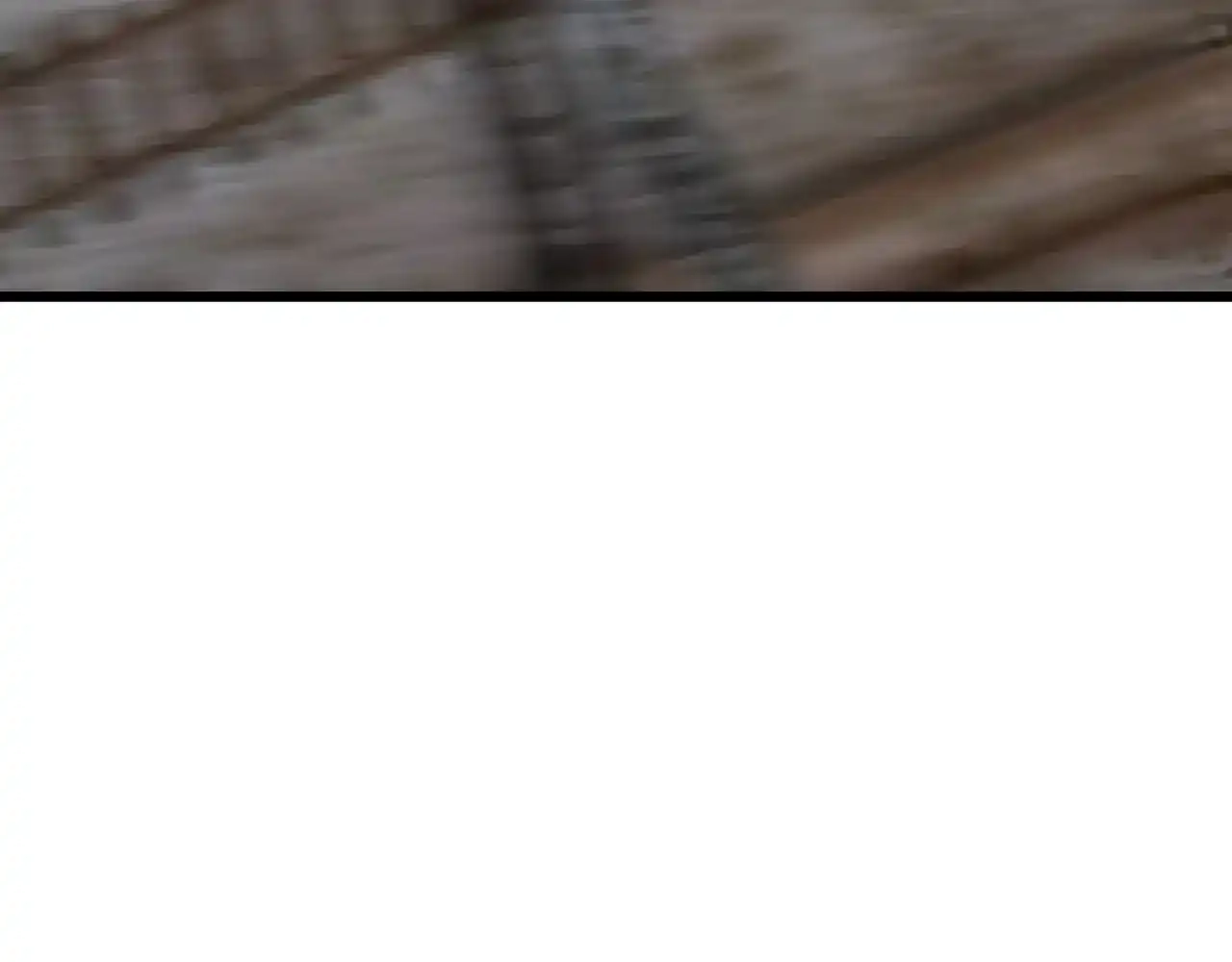120.jpg